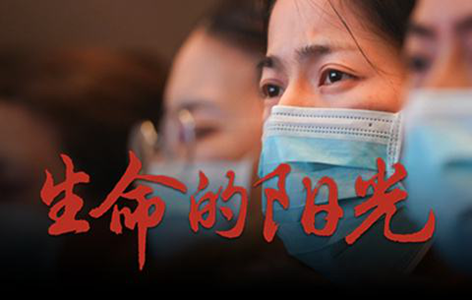 保障恒行5有序工作，践行初心使命“主战场”