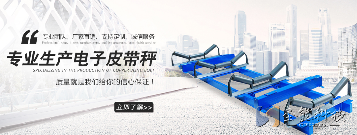 <a href='http://mdhb.net' target='_blank'><u>皮带秤厂家</u></a>