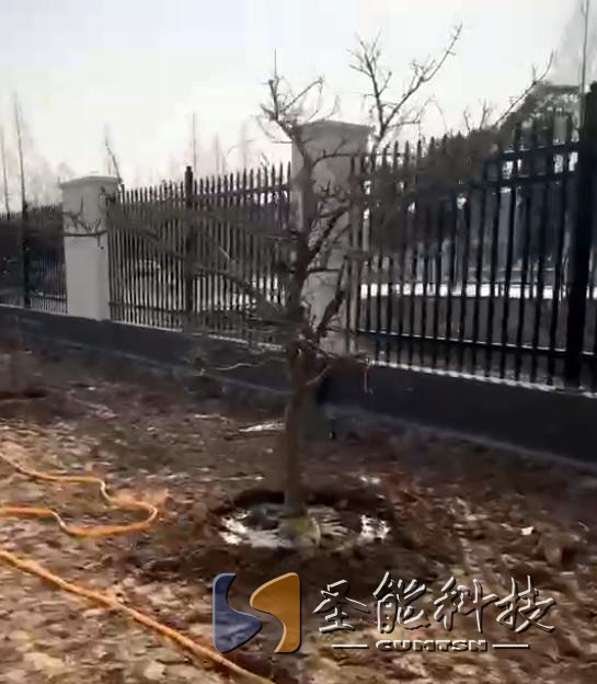 “植”此青绿，添彩恒行5静待花开