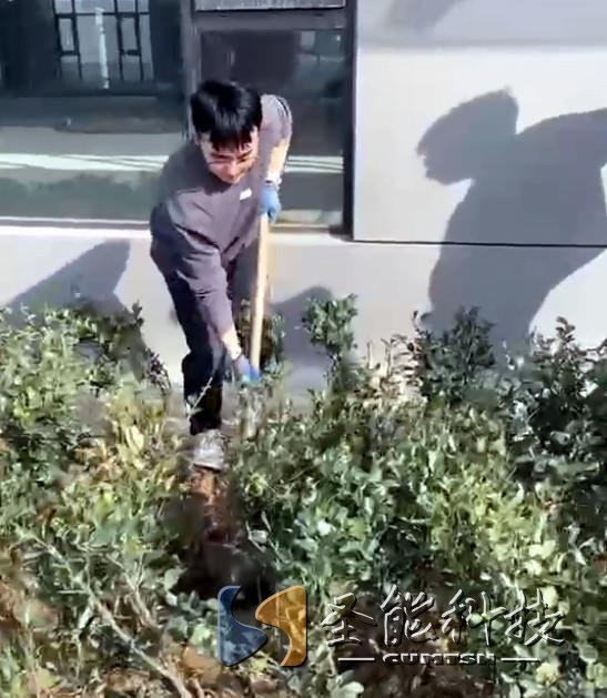 “植”此青绿，添彩恒行5静待花开
