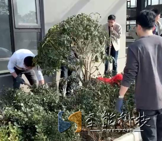 “植”此青绿，添彩恒行5静待花开